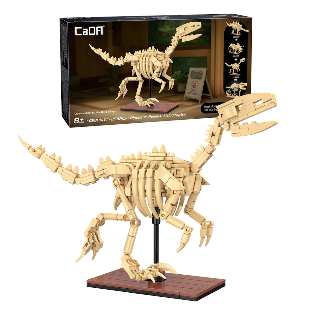 CaDA Dinosaur Fossils: velociraptor C59014W NEW GHC21 - Image 5